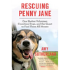 Rescuing Penny Jane: One Shelter Volunteer, Countless Dogs, and the Quest to Find Them All Homes - Paperback