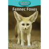 Fennec Foxes - Paperback