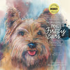 The Adventures of Mr. Fuzzy Ears: Searching for a Furry Friend - Hardcover
