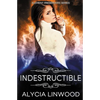 Indestructible - Paperback