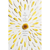 The Summer of Broken Things - Hardcover