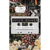 Anya's Echoes - Paperback