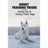 Husky Training Tricks: Amazing Tips On Training A Husky Puppy: Some Tips On Training A Husky - Paperback