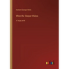 When the Sleeper Wakes: in large print - Paperback