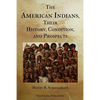 The American Indians Their History Condition and Prospects - Paperback