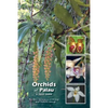 Orchids of Palau: A Field Guide - Paperback