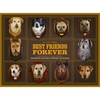 Best Friends Forever: The Greatest Collection of Taxidermy Dogs on Earth - Hardcover