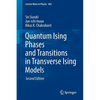 Quantum Ising Phases and Transitions in Transverse Ising Models - Paperback