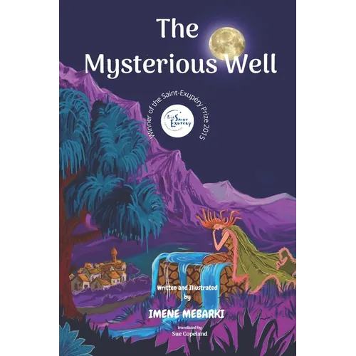 The Mysterious Well: Winner of the Saint-Exupéry Prize 2015. Amazing Picture Book. children's mystery for preteen boys and girls - Paperback