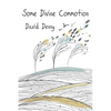 Some Divine Commotion - Paperback