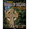 Book of Irish Blessings & Proverbs: Mystical Moods of Ireland, Vol. V - Paperback