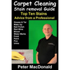 Carpet Cleaning Stain Removal Guide: Top Ten Stains, Advice From a Professional - Paperback