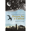 Orison for a Curlew: In Search for a Bird on the Edge of Extinction - Paperback