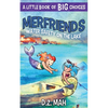 Merfriends Water Safety on the Lake: A Little Book of BIG Choices - Paperback