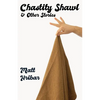 Chastity Shawl & Other Stories: Comedic essays about life -- in it's awkward, observational glory! - Paperback