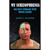 My Schizophrenia: One Man's Struggles With Mental Illness - Paperback