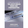 A Practical Guide to the Law of Domain Names and Cybersquatting - Paperback