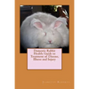 Domestic Rabbit Health: Guide to Treatment of Disease, Illness and Injury - Paperback