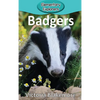 Badgers - Hardcover