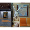 Halloween Underground: New York Subway Portraits - Hardcover