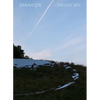 Sarah Sze: Fallen Sky - Hardcover
