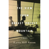 The View From Breast Pocket Mountain - Paperback