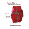 Panic Cure: Poetry from Spain for the 21st Century - Paperback