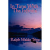 In Tune with the Infinite: Philosophical Reflections on Mind, Harmony, and the Infinite - Paperback
