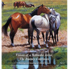 Visions of a Nebraska Artist, The Journey Continues: Paintings and drawing of David Dorsey - Hardcover