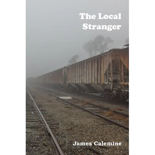 The Local Stranger: Short Stories - Paperback