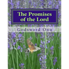 The Promises of the Lord: God Can Never Fail Nor Disappoint Anybody - Paperback