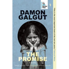 The Promise: A Novel (Booker Prize Winner) - Paperback