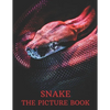 Snake: The Picture Book of Amazing Snake for Snake Lovers, Seniors, Dementia, and Alzheimer's. - Paperback