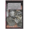Colonial Coins Of The Spanish Empire - Paperback