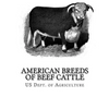 American Breeds of Beef Cattle: With Remarks on Beef Cattle Pedigrees - Paperback
