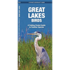Great Lakes Birds: An Introduction to Familiar Species - Loose Leaf