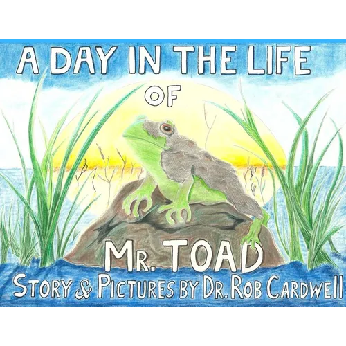 A Day in the Life of Mr. Toad - Paperback